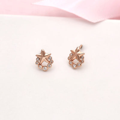 92.5 Silver Zircon Star Earrings - SIA412668
